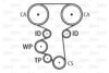 OPEL X11OESKDP Water Pump & Timing Belt Kit